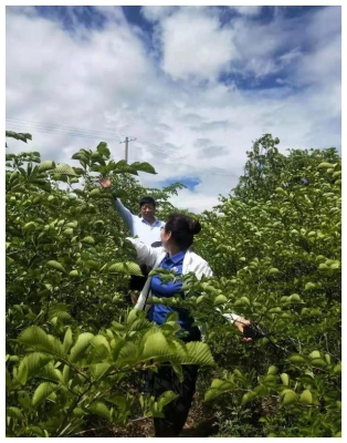 赤峰雅妃悅己店電話地址查詢-第1張圖片