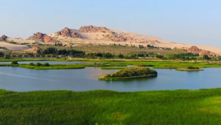 赤峰翁旗旅游局局長(zhǎng)電話號(hào)碼-第1張圖片