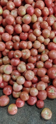 赤峰收購(gòu)油菜籽的電話號(hào)碼-第1張圖片