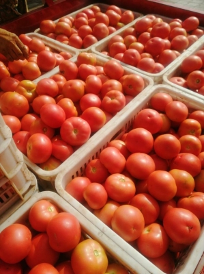 赤峰烙糕批發(fā)電話號碼多少-第1張圖片