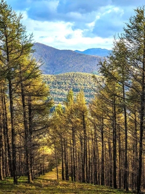 赤峰焱邦鍋爐有限公司-第1張圖片