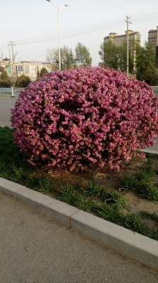 赤峰市百柳超市電話號(hào)碼-第1張圖片