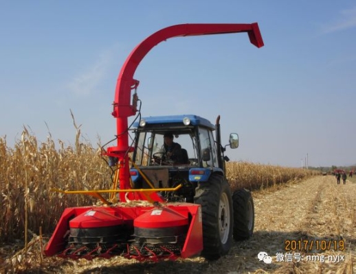 赤峰鑫峰球館電話號(hào)碼多少號(hào)-第1張圖片
