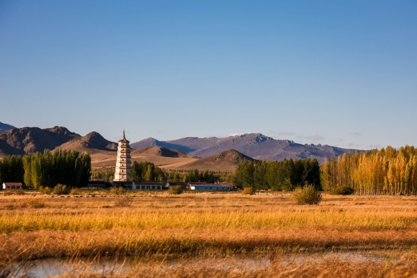 赤峰大板鎮(zhèn)大醬廠地址電話號碼-第1張圖片