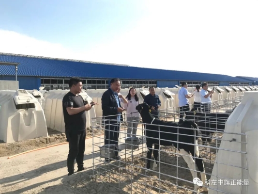 赤峰阿旗姚家段社區(qū)電話是多少-第1張圖片