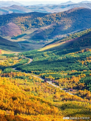 赤峰怡悅足療電話多少號碼-第1張圖片