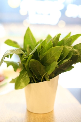 赤峰百花園餐廳電話地址查詢-第1張圖片