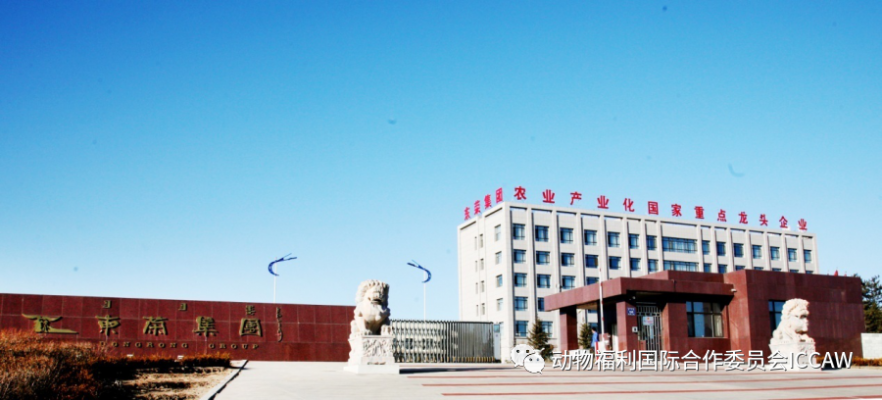 赤峰東新按摩館電話號(hào)碼多少-第1張圖片