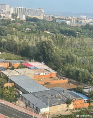 赤峰免費送狗電話是多少號-第1張圖片