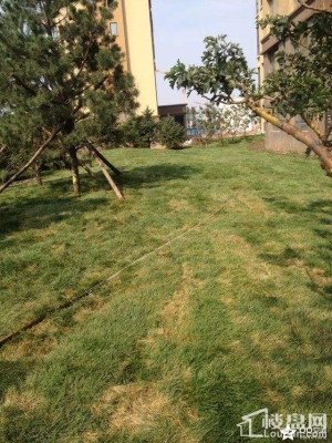 赤峰紅山郡自來水廠電話號碼-第1張圖片