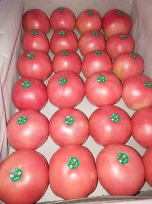 赤峰寧城縣手扒肉店電話號碼-第1張圖片