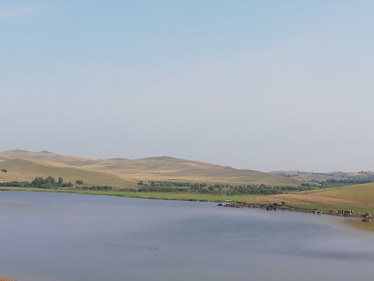 赤峰哈登布拉格酒店電話(huà)號(hào)碼-第1張圖片