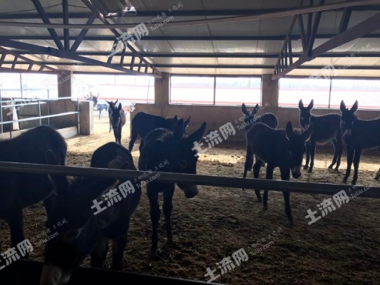 赤峰林西出租車電話號(hào)碼-第1張圖片