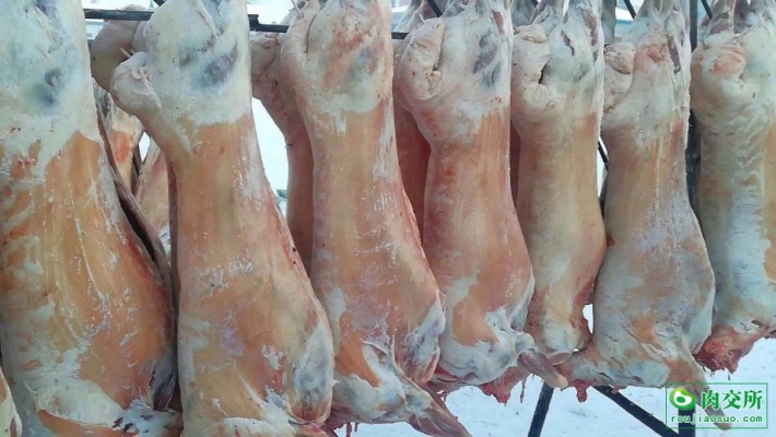 赤峰雞屠宰場聯(lián)系電話號碼-第1張圖片