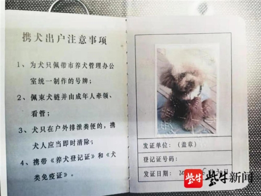 赤峰新年?duì)I業(yè)的寵物店電話號碼-第1張圖片