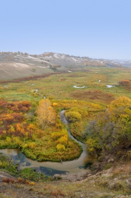 赤峰悅賓馬場電話號碼多少號-第1張圖片