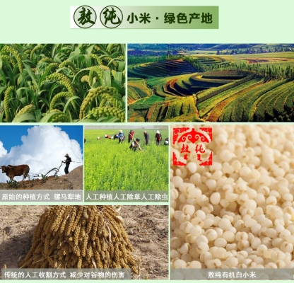 赤峰敖漢奶制品廠電話號碼-第1張圖片