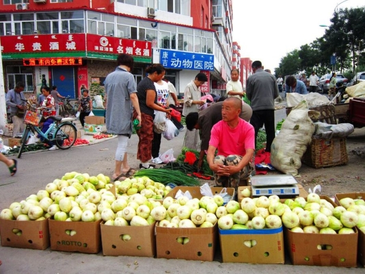 包頭赤峰寵物醫(yī)院地址電話號(hào)碼-第1張圖片