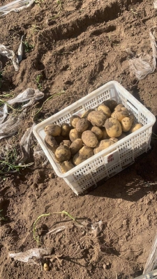 赤峰林西疫情報(bào)告電話查詢-第1張圖片