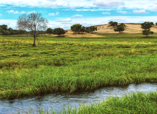 赤峰馨然民宿服務(wù)店電話號碼-第1張圖片