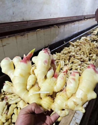 赤峰炒貨機(jī)批發(fā)電話(huà)號(hào)碼多少-第1張圖片