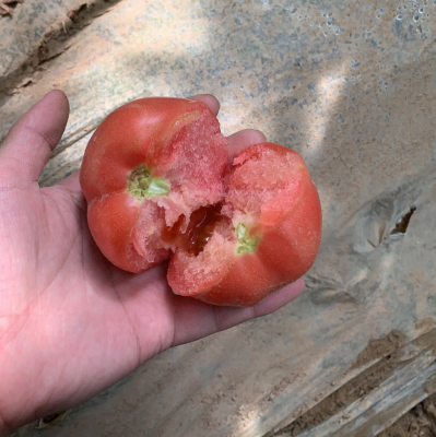 赤峰敖漢旗養(yǎng)雞場電話多少號-第1張圖片