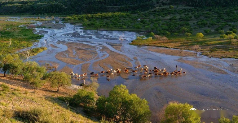 赤峰阿旗納豆廠地址電話號碼-第1張圖片