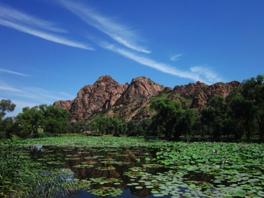 赤峰市紅山珍珍藥店電話號碼-第1張圖片