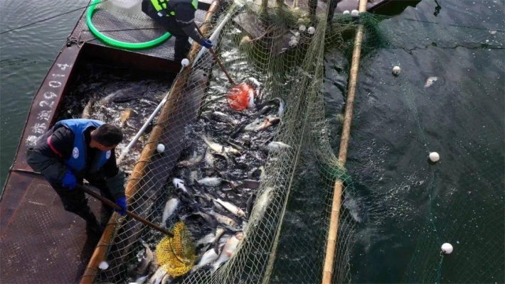 赤峰紫蒙湖路況查詢電話號(hào)碼-第1張圖片