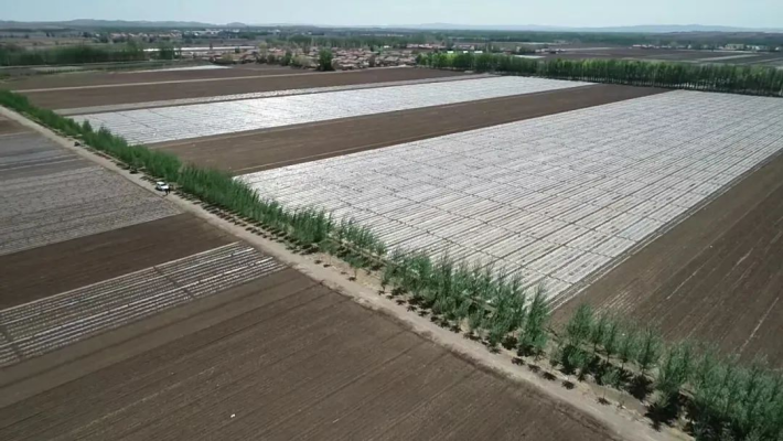 赤峰太平地鎮(zhèn)農(nóng)業(yè)局電話號(hào)碼-第1張圖片