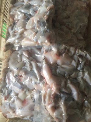 赤峰速凍牛蛙批發(fā)電話多少號-第1張圖片