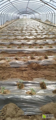 赤峰市美林鎮(zhèn) 物流電話號碼-第1張圖片