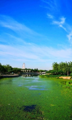 玉田赤峰拼車群電話號(hào)碼是多少-第1張圖片