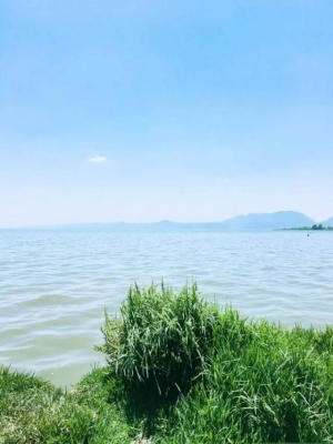 赤峰市撈魚地址查詢電話號(hào)碼-第1張圖片