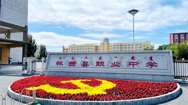 赤峰市林西縣醫(yī)保電話號碼-第1張圖片