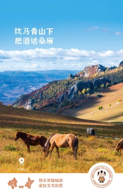 赤峰市旅游局的電話號(hào)碼-第1張圖片