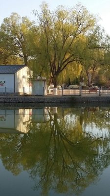 赤峰紅旗屠宰場電話號碼查詢-第1張圖片