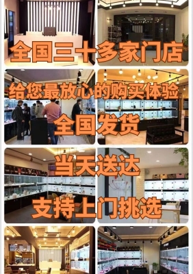 赤峰比熊血統(tǒng)犬舍地址電話(huà)號(hào)碼-第1張圖片