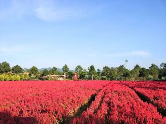 赤峰衣家營垂釣園地址電話號(hào)碼-第1張圖片