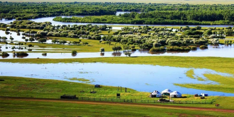 赤峰蒙冠大豆油代理電話號碼-第1張圖片