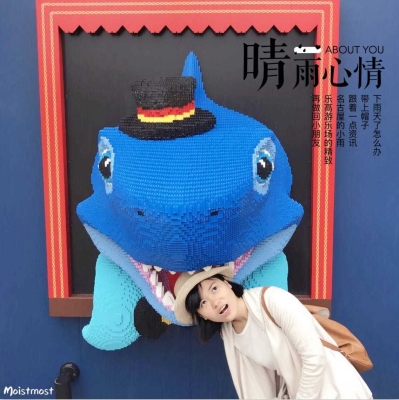 赤峰樂(lè)高游樂(lè)場(chǎng)電話地址查詢-第1張圖片