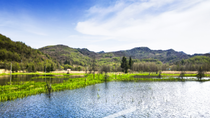 赤峰石柱新聞網(wǎng)官網(wǎng)電話號碼-第1張圖片