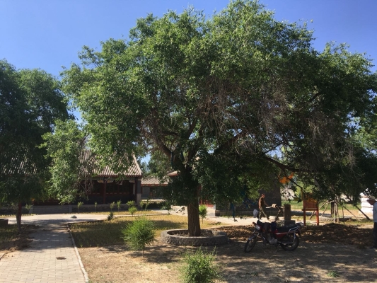 赤峰巴林右旗居委會(huì)電話是多少-第1張圖片