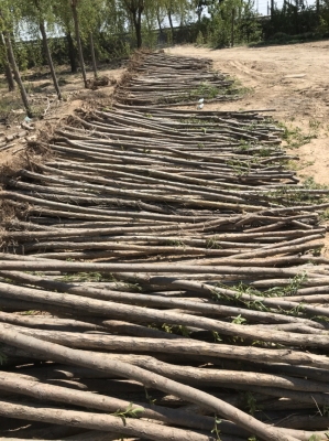 赤峰市白柳超市電話號碼-第1張圖片