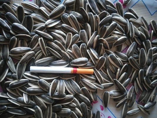 赤峰本地瓜子廠家直銷電話號碼-第1張圖片