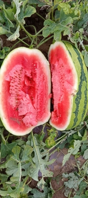 赤峰優(yōu)旅優(yōu)品電話多少號-第1張圖片