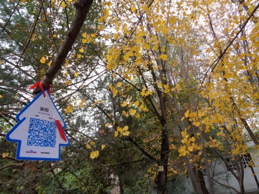 赤峰植物園大廳電話號碼是多少-第1張圖片