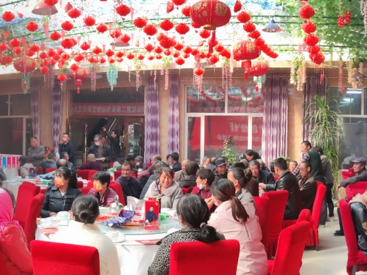 赤峰市動(dòng)物收留所電話號(hào)碼-第1張圖片