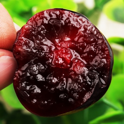 赤峰車?yán)遄訄F(tuán)購(gòu)電話地址查詢-第1張圖片