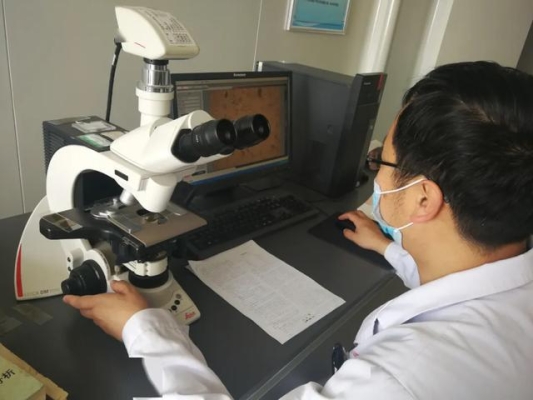 赤峰市文化稽查隊電話號碼-第1張圖片